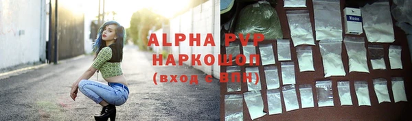 прущие грибы Усолье-Сибирское