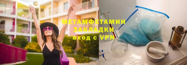 прущие грибы Усолье-Сибирское