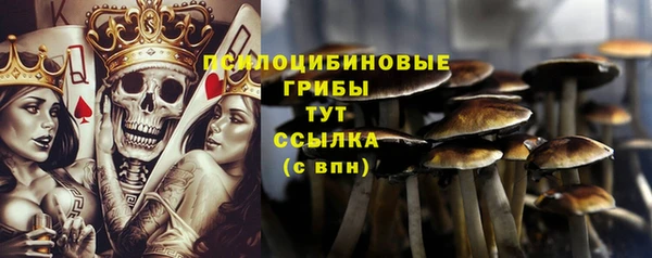 молекула духа Верхний Тагил