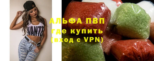 прущие грибы Усолье-Сибирское