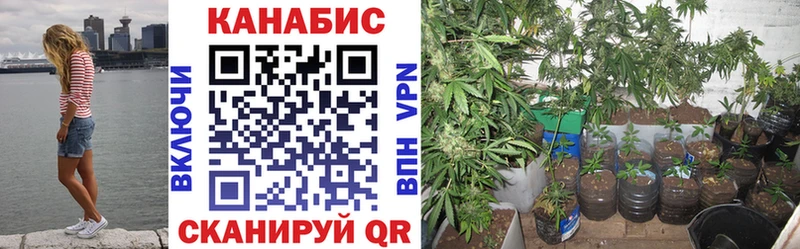 МАРИХУАНА ГИДРОПОН  дарк нет Telegram  Лиски 